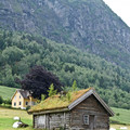 DSC_0177.jpg